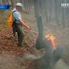 В Косово огонь охватил более 500 гектар леса