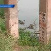 В Черкасской области погибает река Тясмин