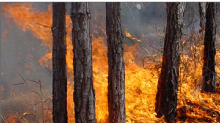Возле Ялты горит лес