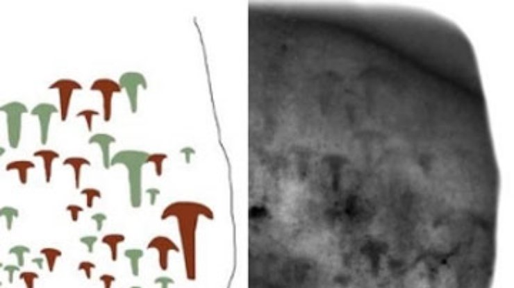 На плитах Стоунхенджа ученые обнаружили неизвестные ранее рисунки