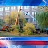 В Одессе погиб крановщик, на которого упало дерево