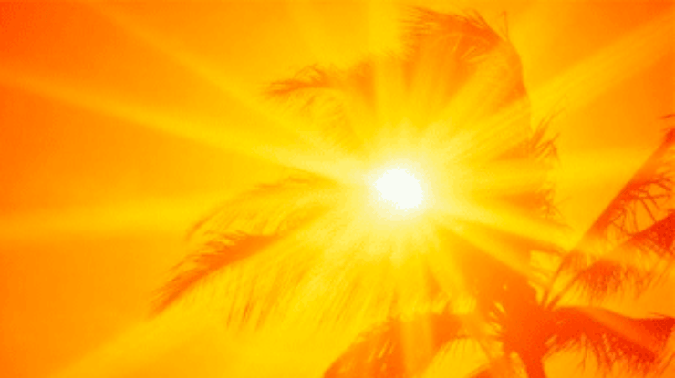 Ученый предложил людям питаться солнцем