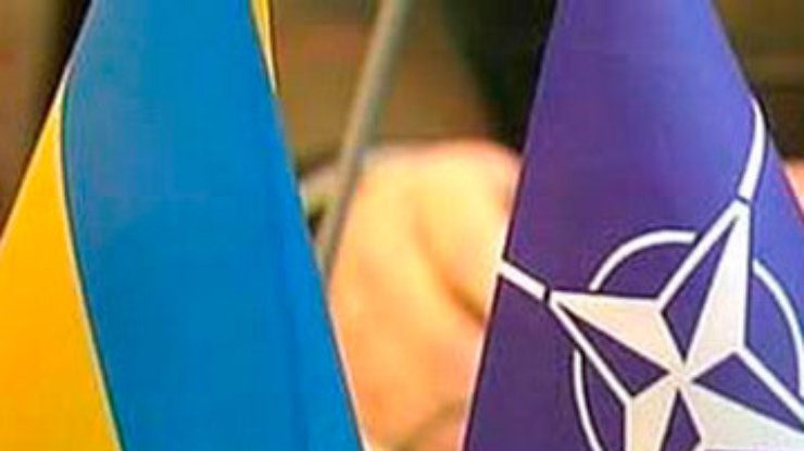 В НАТО призвали Украину, Россию и Беларусь расследовать нарушения на выборах