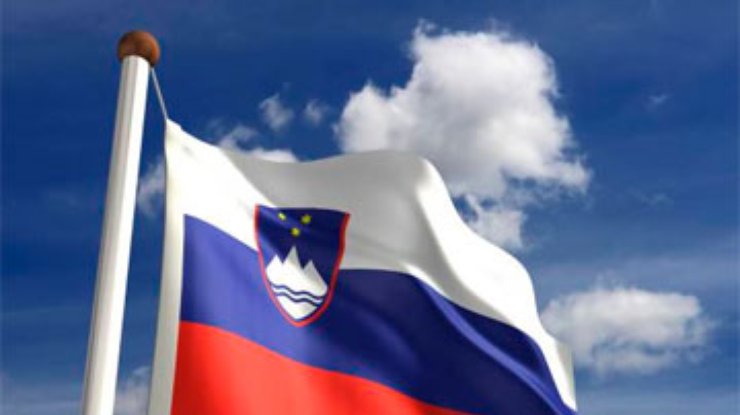 Перед выборами в Словении произошли беспорядки