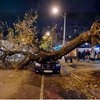 Из-за шторма, в Одессе падают деревья: Раздавлен автомобиль