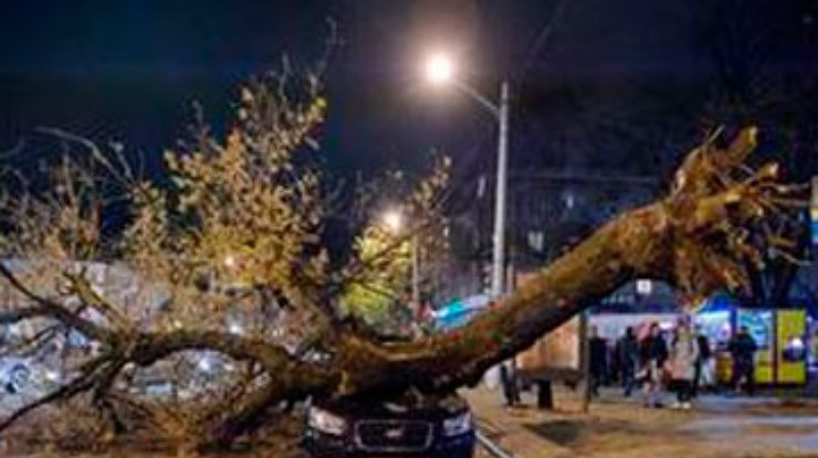 Из-за шторма, в Одессе падают деревья: Раздавлен автомобиль
