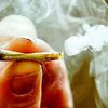 В Нидерландах вступили в силу ограничения на марихуану