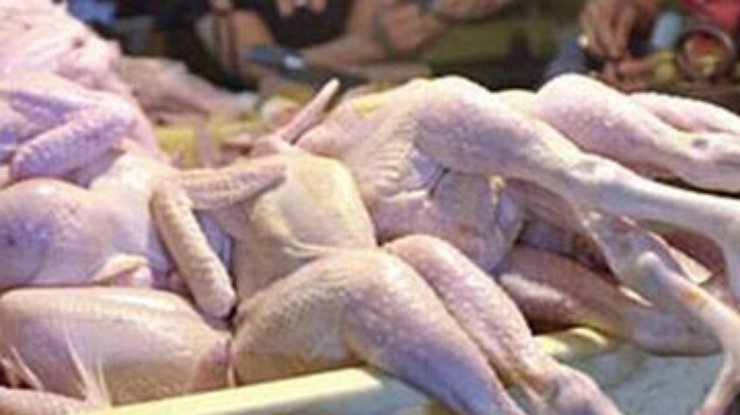 Эксперты рассказали, почему Украина не может начать экспорт птицы в ЕС