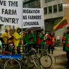 Прибалтийские фермеры устроили акцию протеста под стенами Еврокомиссии