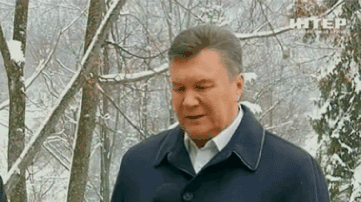 Янукович хочет компромисса с ЕС в вопросе Тимошенко и Луценко