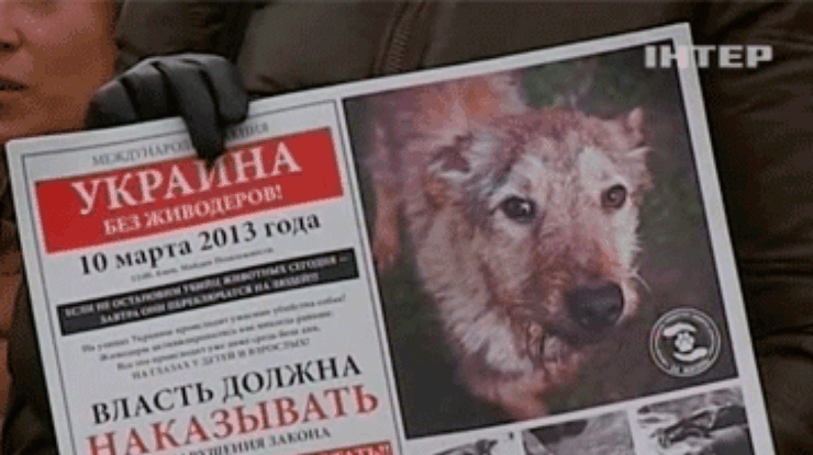 В Киеве прошел протест против убийств бродячих собак