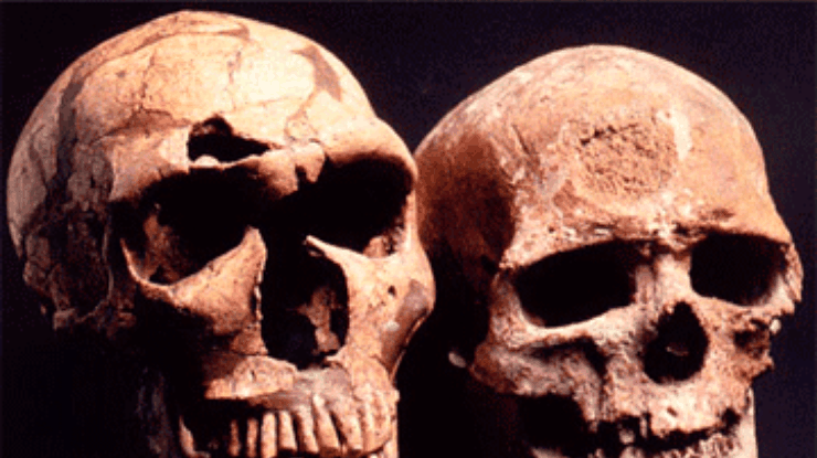 Выжить неандертальцам помешали слишком большие глаза, - ученые