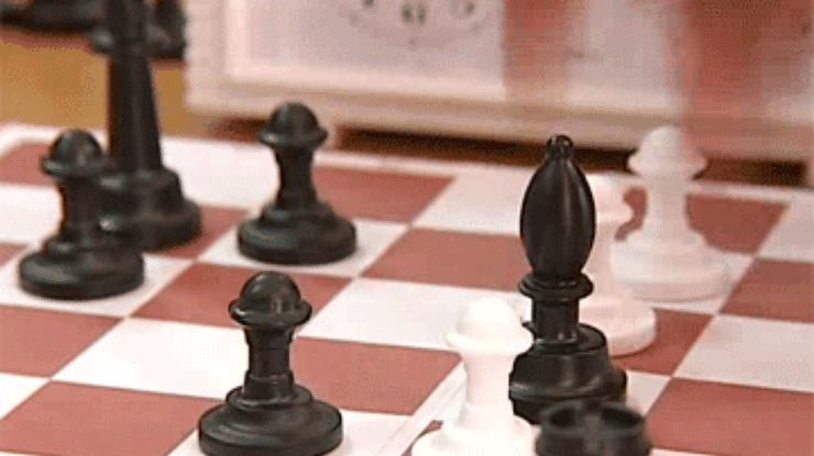 Шахматы остаются одним из самых популярных видов спорта