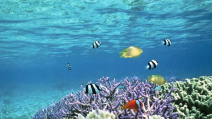 Филиппины требуют от США компенсацию за поврежденный коралловый риф