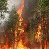 На Харьковщине бушуют лесные пожары