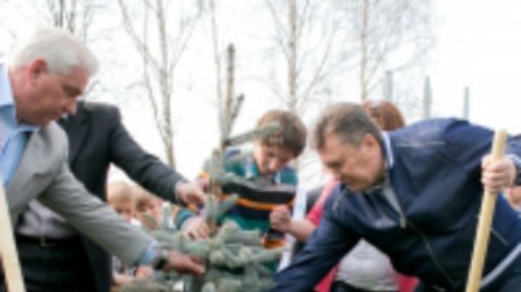 Янукович на субботнике посадил ель