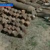 В Харьковской области нашли склад боеприпасов времен Войны