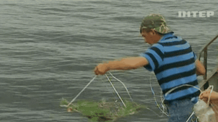 Киевские рыбаки выбросили в реку сотни нерестовиков