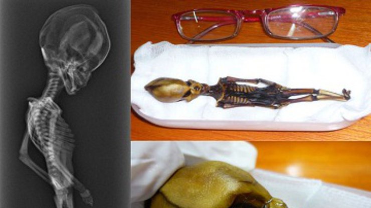 Найденный в Чили скелет странного существа озадачил ученых