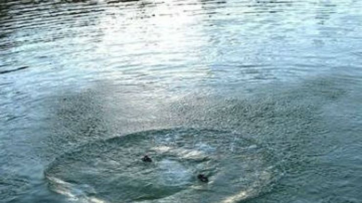 В Прикарпатье трехлетний ребенок утонул в озере