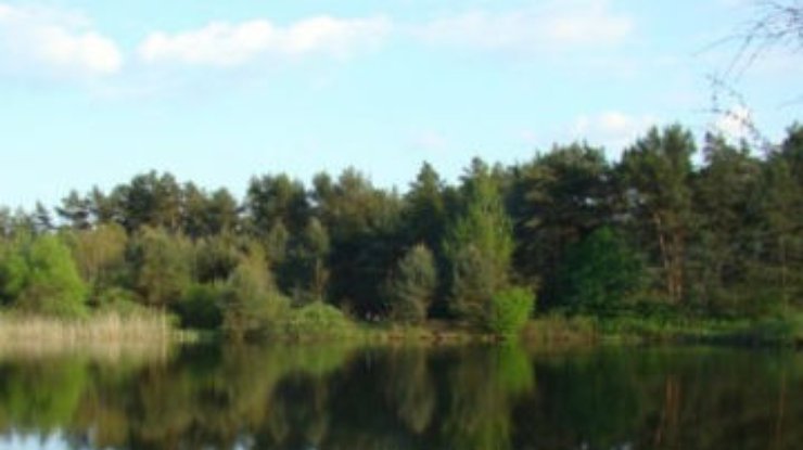 На Львовщине погибли экс-мэр и директор интерната, скатившись на машине в озеро