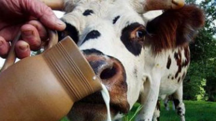 С 2015 года украинцам запретят продавать домашнее молоко и мясо