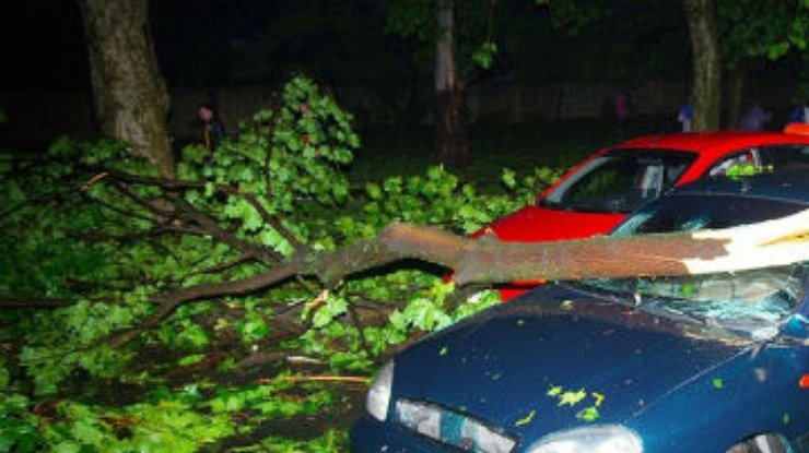 Сильный ураган в Одессе валил деревья и срывал крыши с домов