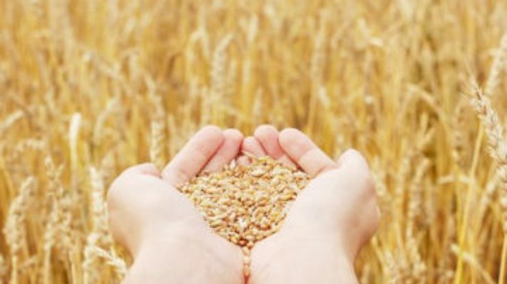 Украине принадлежит 9,2% в мировой торговле зерном