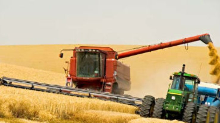 В Украине планируют собрать крупнейший за годы независимости урожай