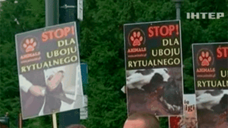Польский парламент наложил запрет на ритуальное убийство скота
