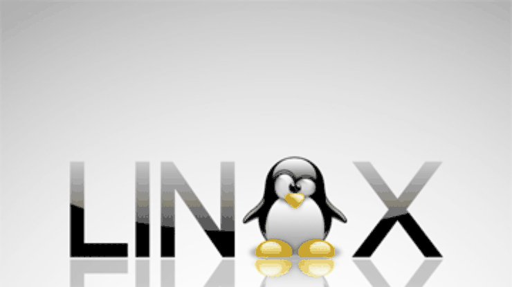 Новую версию Linux назвали в честь старой Windows