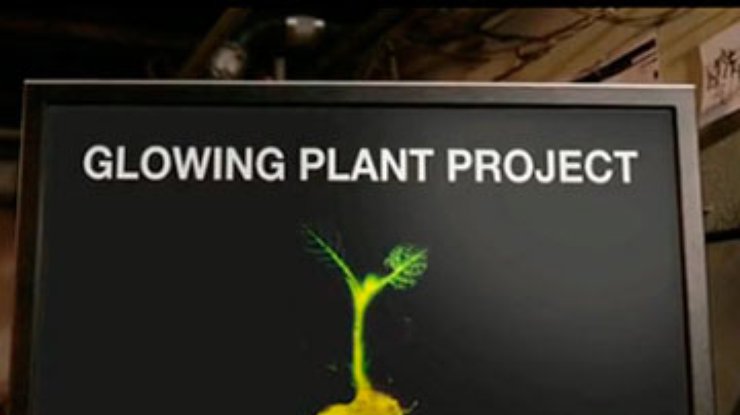 Kickstarter запретил финансировать создание ГМО-растений