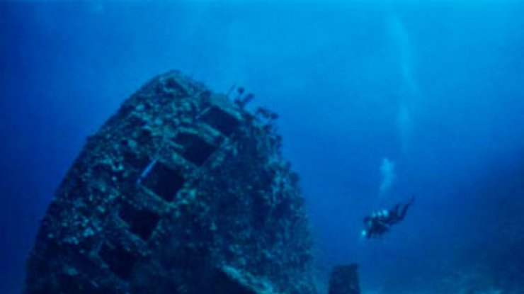 Из-за отсутствия корабельных червей в Антарктике затонувшие корабли хорошо сохранились