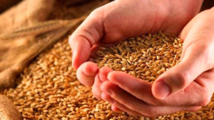 Украина запретила импорт кормов и зерна из России