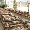 В Гонконге изъяли тысячу слоновьих бивней