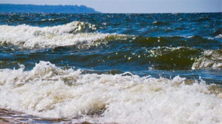 Химическое оружие, затопленное в Балтийском море, приводит к мутациям у рыбы