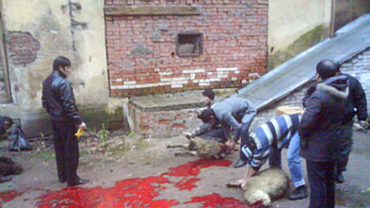 Мусульманам запретили забивать жертвенных животных в Москве
