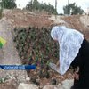 Жительница Палестины разбила цветник на месте гибели сына