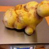 Крупнейшую картофелину Швеции сравнили с Кейт Уинслет