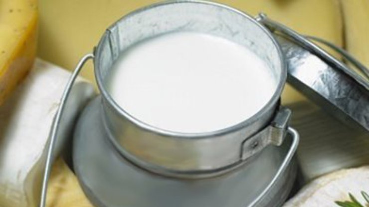 Молоко и сыры в Украине к концу года могут ощутимо подорожать