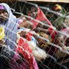 ООН узнает, хотят ли беженцы в Кении вернуться в Сомали