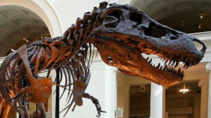 Ученые открыли динозавра, конкурировавшего с тираннозаврами
