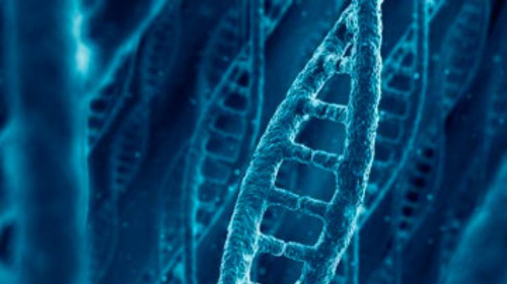 Ученые расшифровали древнейшую ДНК человека