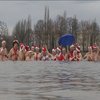 В Германии на Рождество моржи провели праздничный заплыв