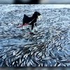 В Норвегии замерзла рыба. Украинцы могут остаться без селедки