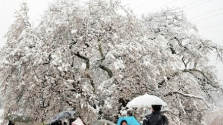 В Японии из-за снегопадов погибли уже 11 человек, более 1,2 тысячи пострадали