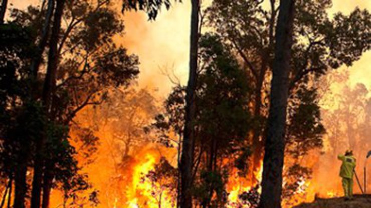 Ситуация с лесными пожарами в Австралии ухудшается