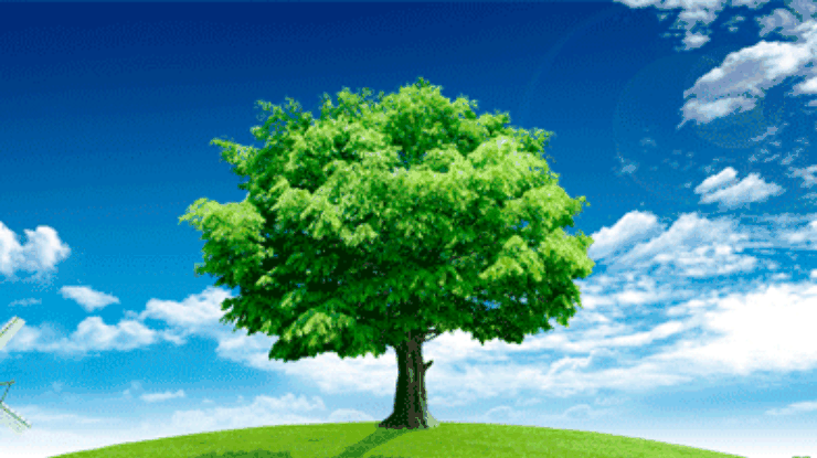Ученые вывели новый сорт деревьев для производства бумаги