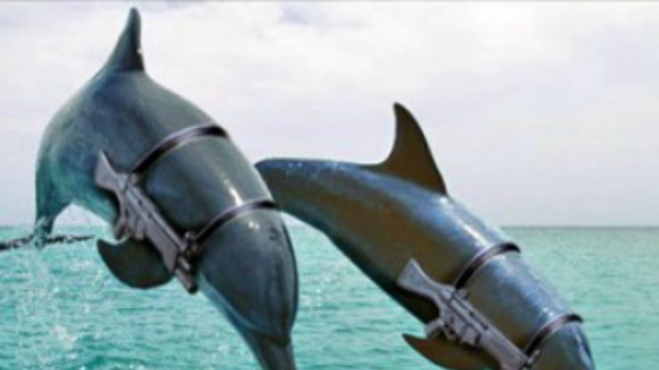 НАТО выпустит боевых дельфинов в Черное море