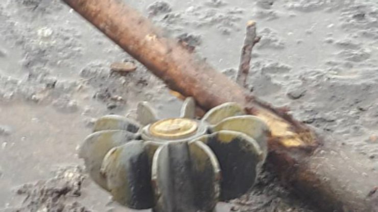 Аваков: в Славянске террористы оставили  множество неразорвавшихся мин (фото)